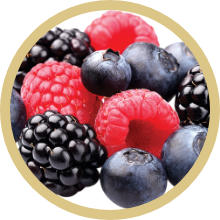 Dual Berry