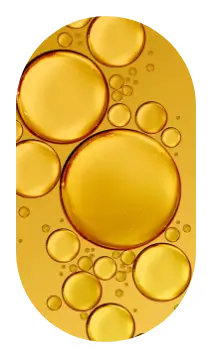 ingredient2-shampoo