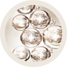i-ingd-4