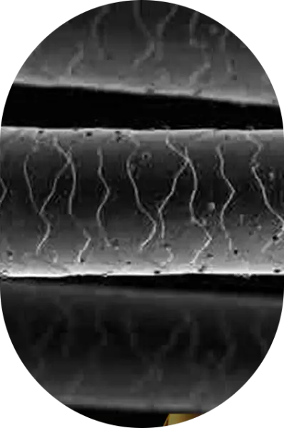 img-drycracked