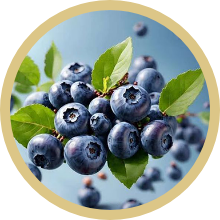 Blueberry